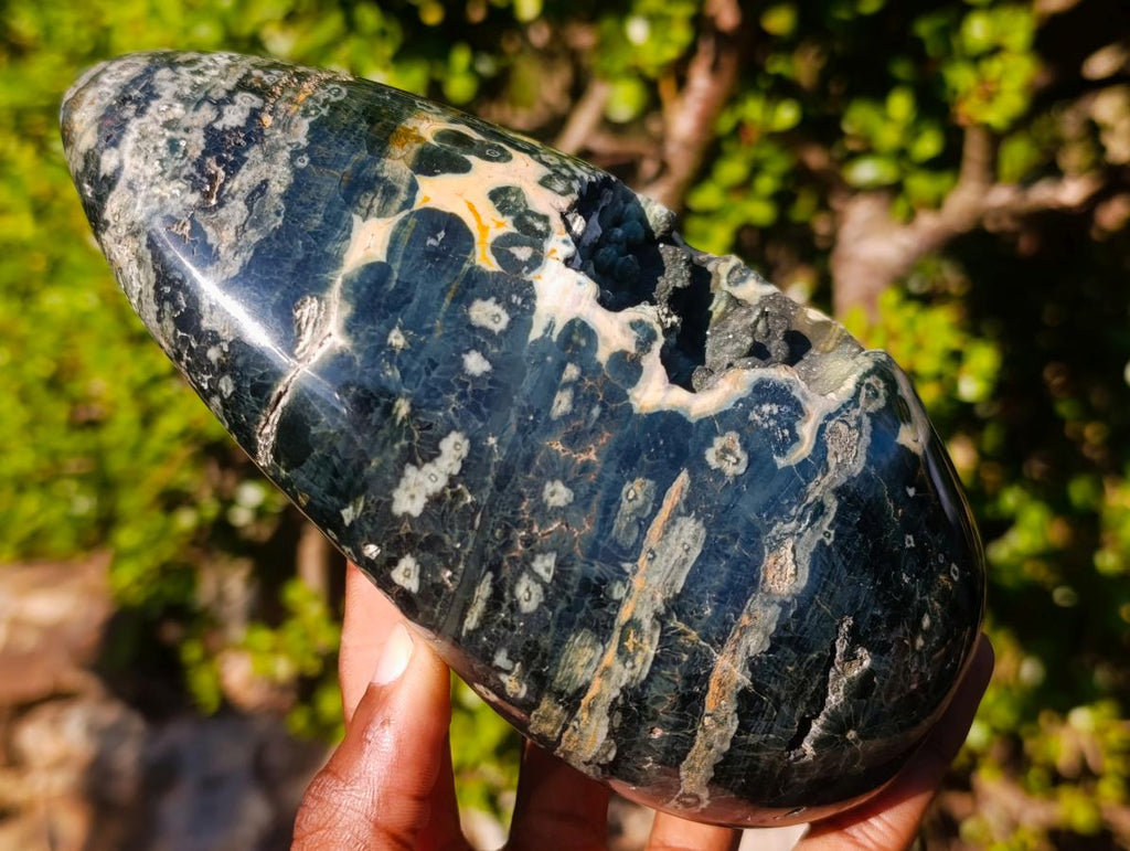 Polished Rare Orbicular Ocean Jasper Display Piece x 1 From Madagascar