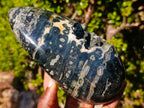Polished Rare Orbicular Ocean Jasper Display Piece x 1 From Madagascar