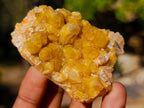 Natural Mix Set of 12 African Minerals, Crystals and Fossils in a Wooden Display Box x 1 From Southern Africa