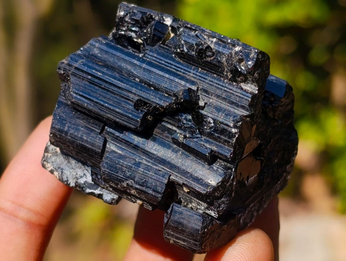 Natural Mix Set of 12 African Minerals, Crystals and Fossils in a Wooden Display Box x 1 From Southern Africa