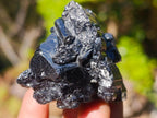 Natural Mix Set of 12 African Minerals, Crystals and Fossils in a Wooden Display Box x 1 From Southern Africa