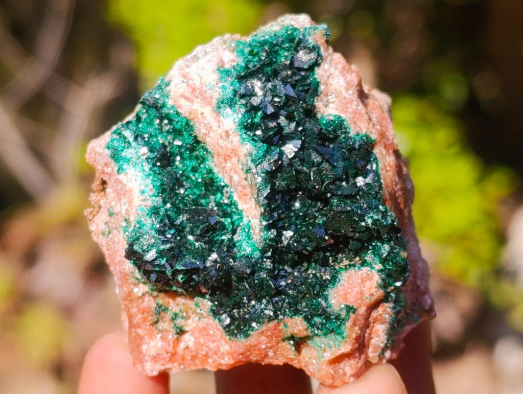 Natural Mix Set of 12 African Minerals, Crystals and Fossils in a Wooden Display Box x 1 From Southern Africa