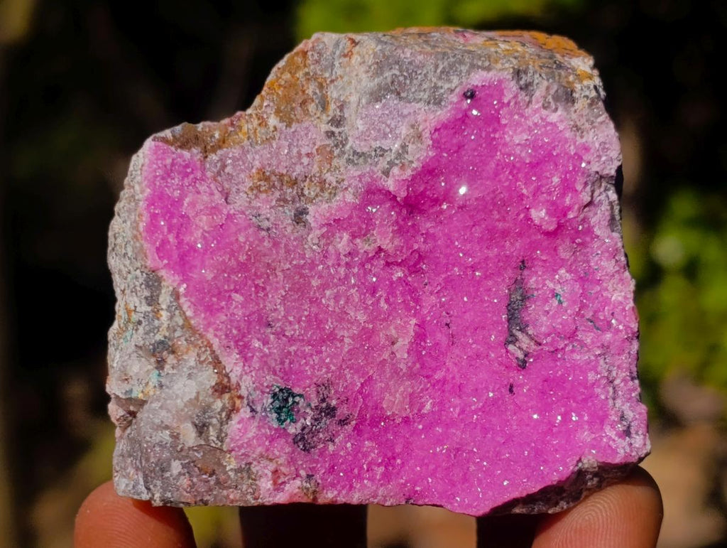 Natural Mix Set of 12 African Minerals, Crystals and Fossils in a Wooden Display Box x 1 From Southern Africa