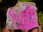Natural Mix Set of 12 African Minerals, Crystals and Fossils in a Wooden Display Box x 1 From Southern Africa