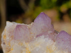 Natural Mix Set of 12 African Minerals, Crystals and Fossils in a Wooden Display Box x 1 From Southern Africa