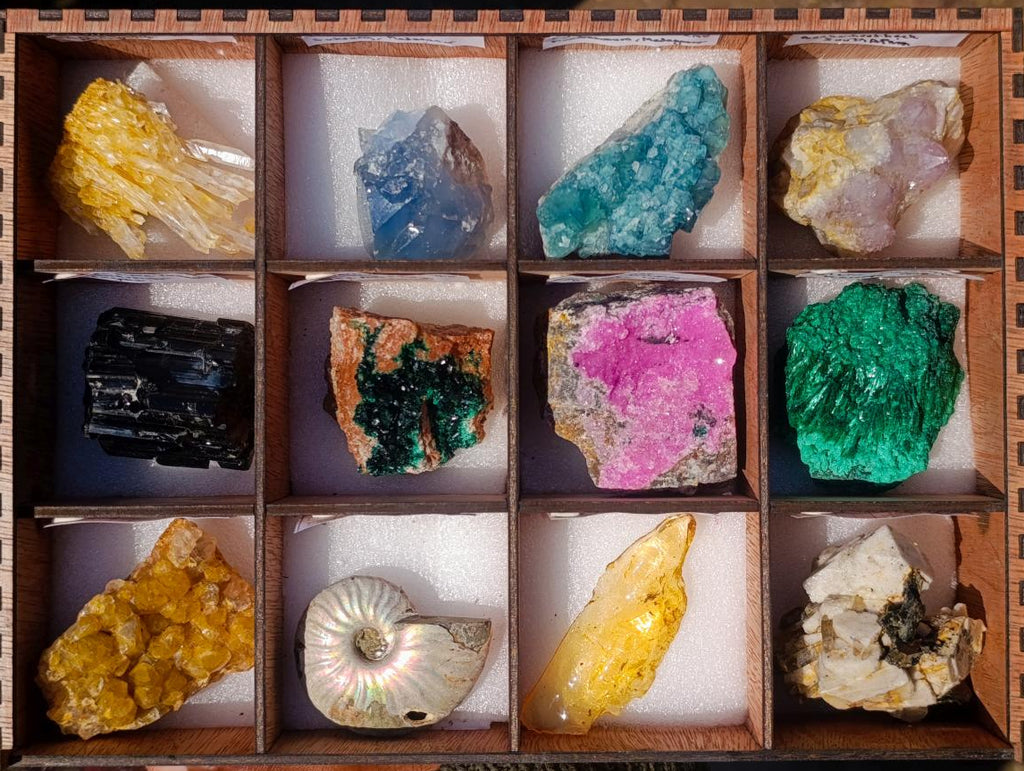 Natural Mix Set of 12 African Minerals, Crystals and Fossils in a Wooden Display Box x 1 From Southern Africa