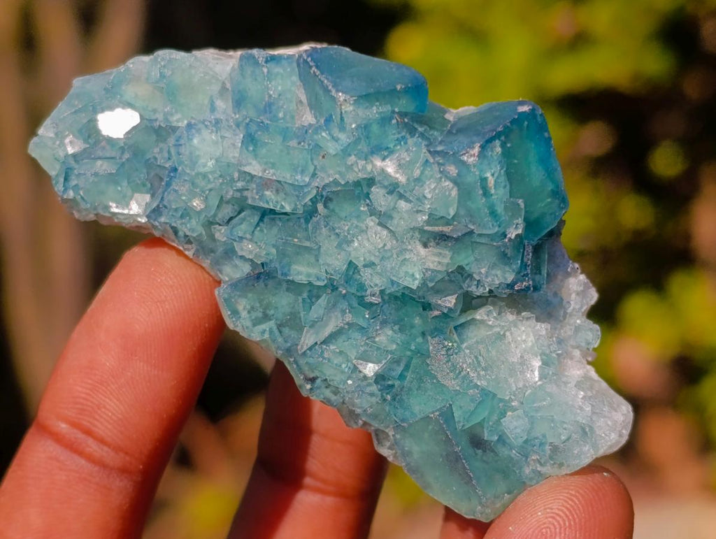 Natural Mix Set of 12 African Minerals, Crystals and Fossils in a Wooden Display Box x 1 From Southern Africa