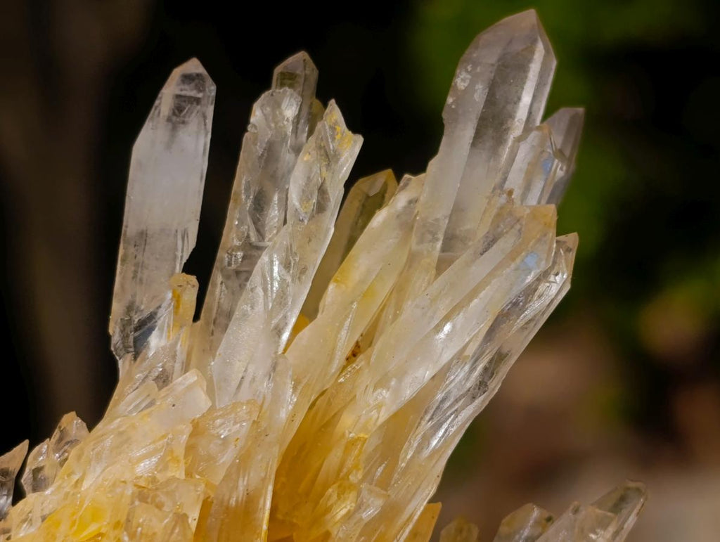 Natural Mix Set of 12 African Minerals, Crystals and Fossils in a Wooden Display Box x 1 From Southern Africa