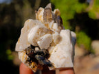 Natural Mix Set of 12 African Minerals, Crystals and Fossils in a Wooden Display Box x 1 From Southern Africa