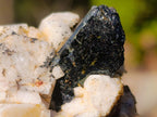 Natural Mix Set of 12 African Minerals, Crystals and Fossils in a Wooden Display Box x 1 From Southern Africa