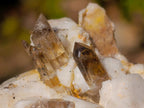 Natural Mix Set of 12 African Minerals, Crystals and Fossils in a Wooden Display Box x 1 From Southern Africa