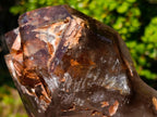 Polished Twin Sceptre Smokey Window Quartz Crystal x 1 From Akansobe, Madagascar