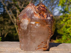 Polished Twin Sceptre Smokey Window Quartz Crystal x 1 From Akansobe, Madagascar