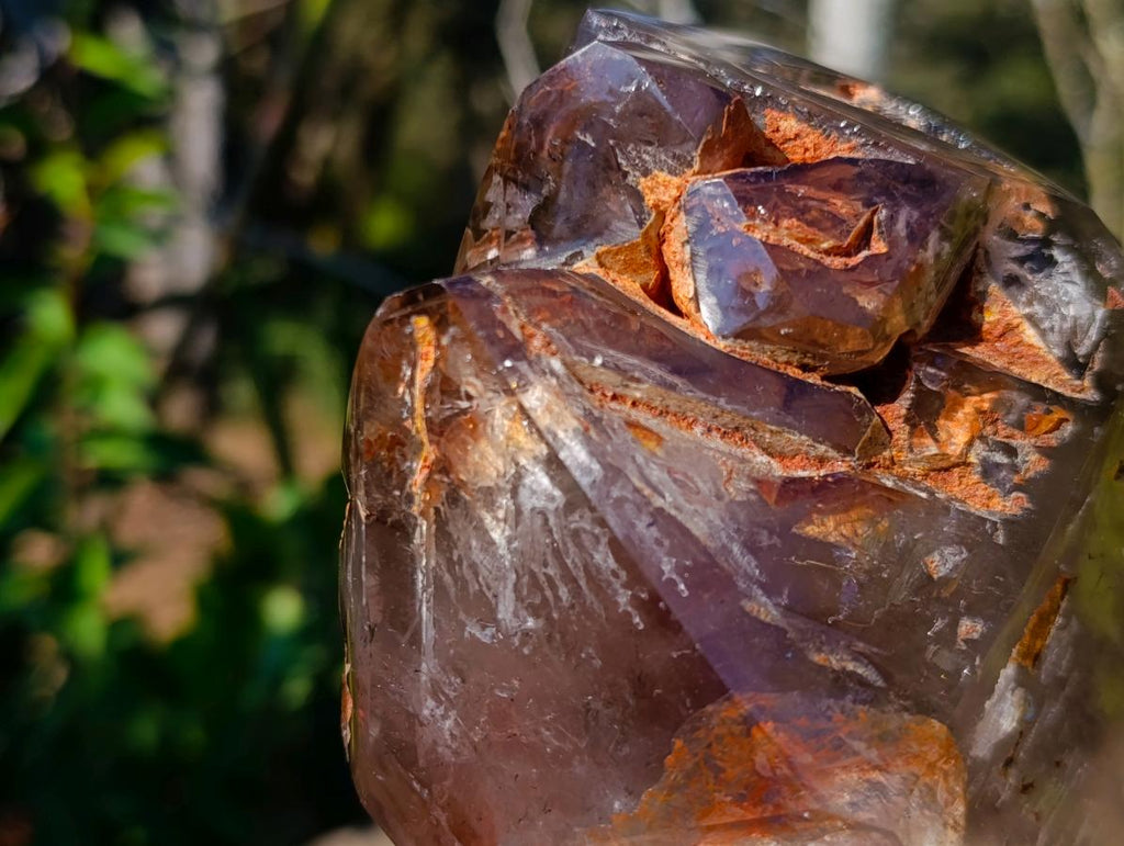 Polished Twin Sceptre Smokey Window Quartz Crystal x 1 From Akansobe, Madagascar