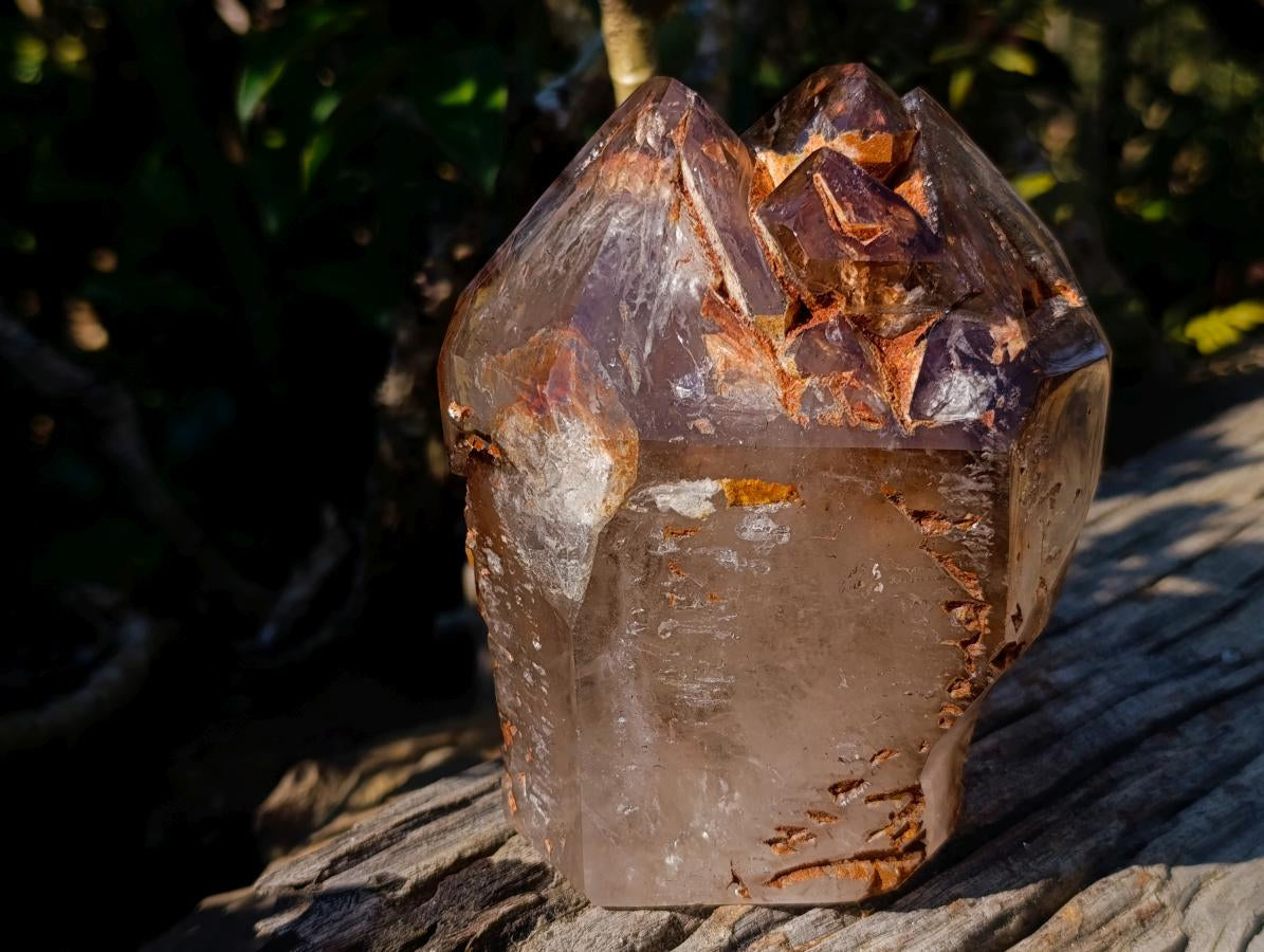 Polished Twin Sceptre Smokey Window Quartz Crystal x 1 From Akansobe, Madagascar