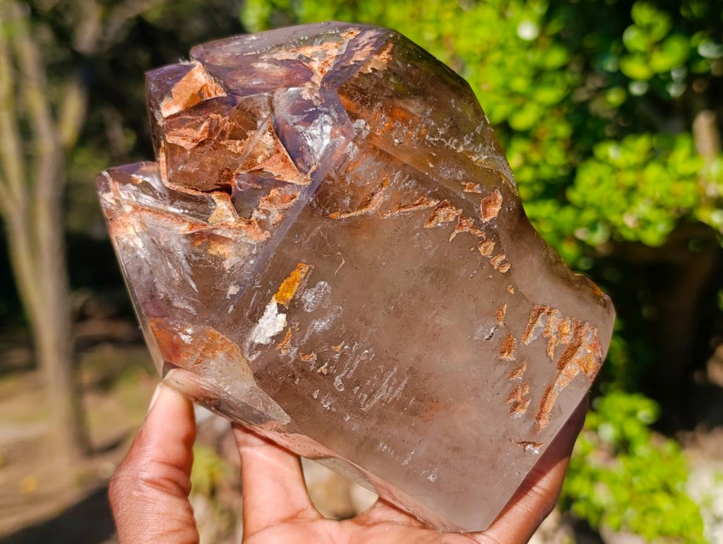 Polished Twin Sceptre Smokey Window Quartz Crystal x 1 From Akansobe, Madagascar