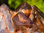 Polished Twin Sceptre Smokey Window Quartz Crystal x 1 From Akansobe, Madagascar