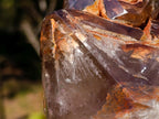 Polished Twin Sceptre Smokey Window Quartz Crystal x 1 From Akansobe, Madagascar