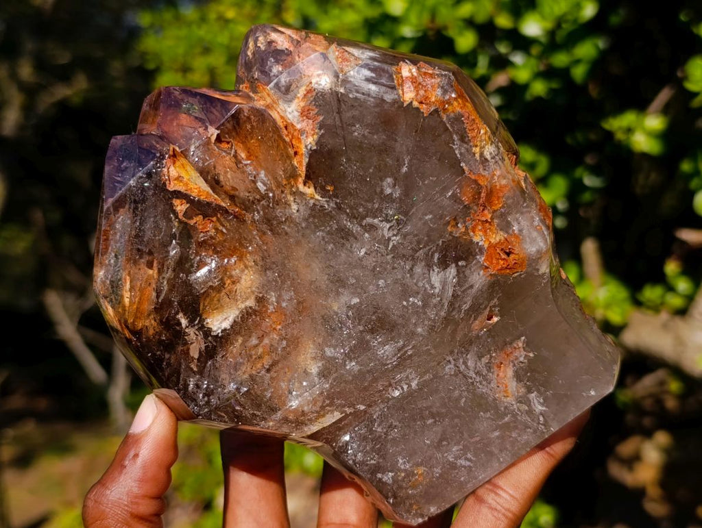 Polished Twin Sceptre Smokey Window Quartz Crystal x 1 From Akansobe, Madagascar