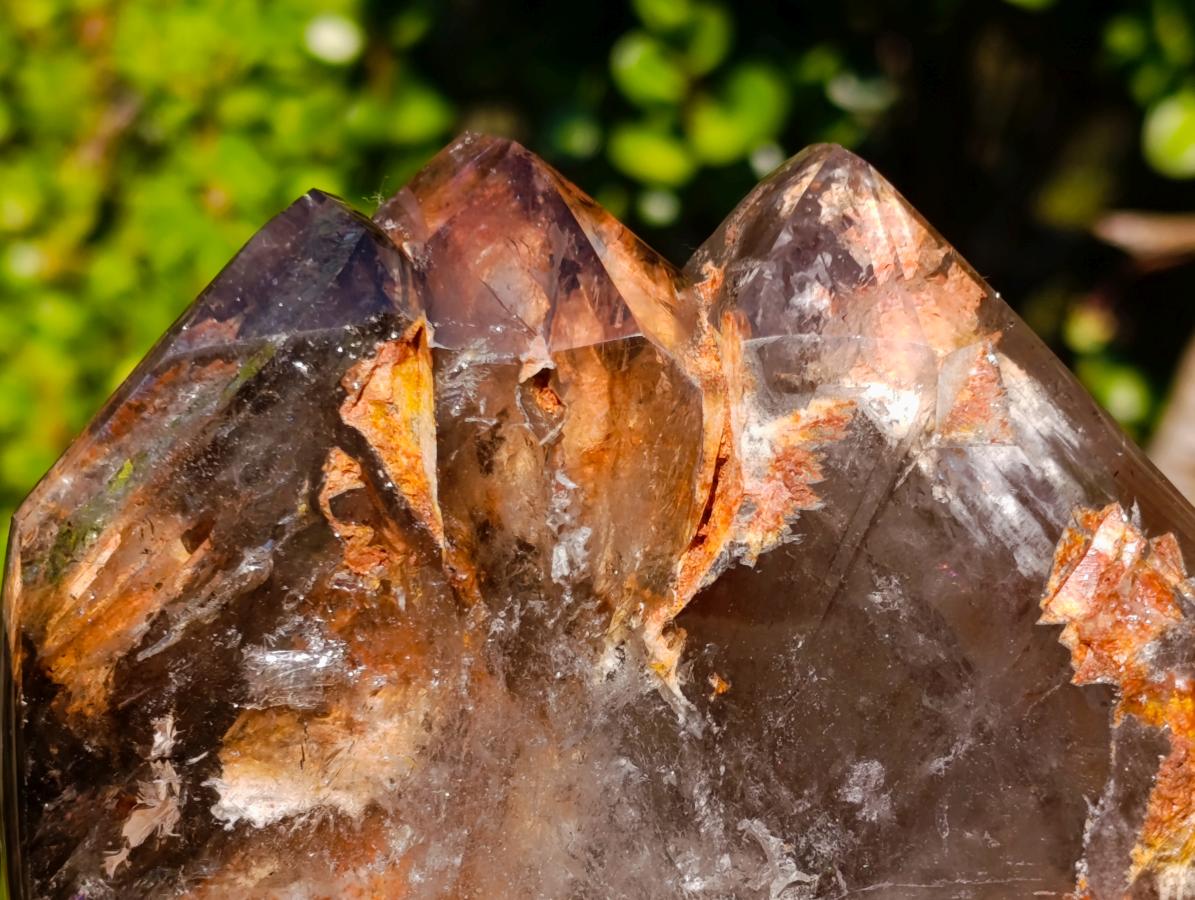 Polished Twin Sceptre Smokey Window Quartz Crystal x 1 From Akansobe, Madagascar