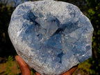 Natural Large Blue Celestite Geode Specimen x 1 From Sakoany Madagascar