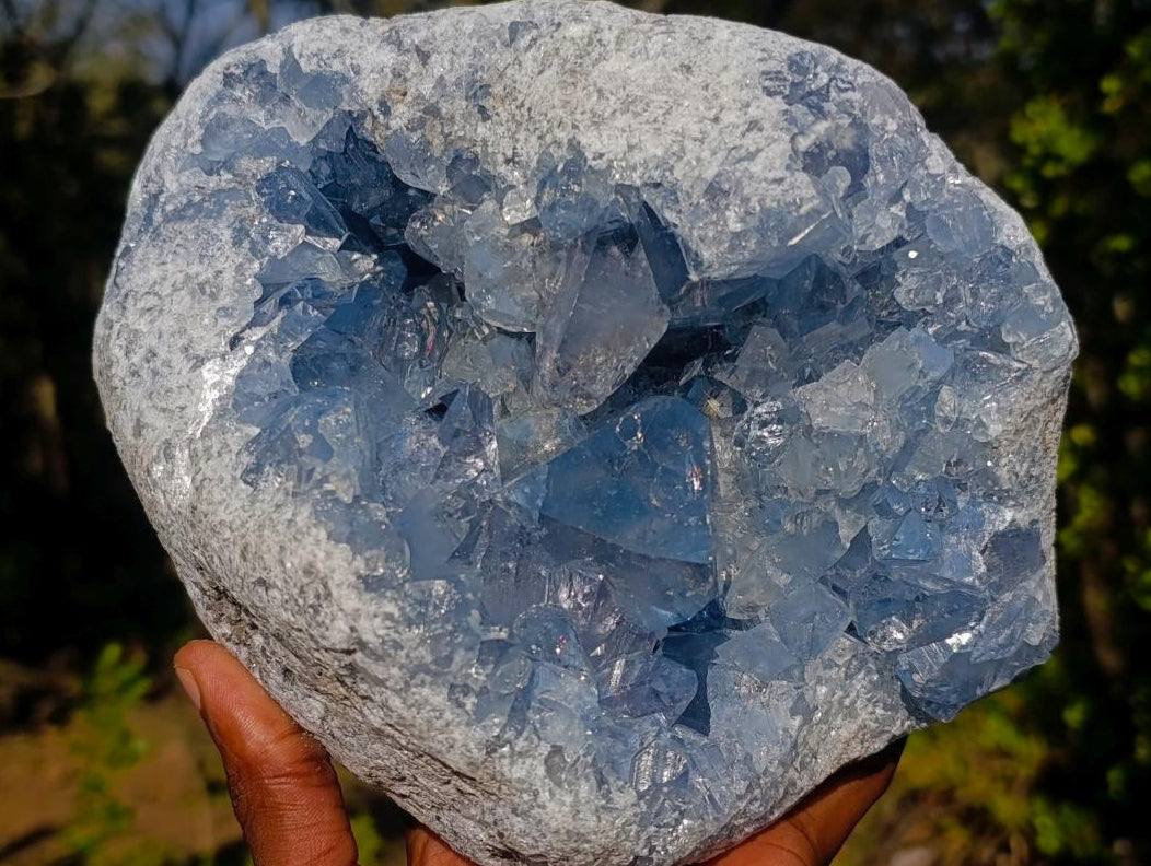 Natural Large Blue Celestite Geode Specimen x 1 From Sakoany Madagascar