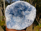 Natural Large Blue Celestite Geode Specimen x 1 From Sakoany Madagascar