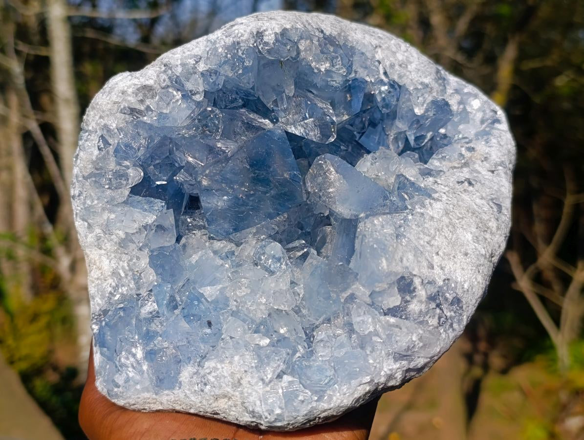Natural Large Blue Celestite Geode Specimen x 1 From Sakoany Madagascar