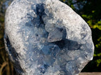 Natural Large Blue Celestite Geode Specimen x 1 From Sakoany Madagascar