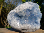 Natural Large Blue Celestite Geode Specimen x 1 From Sakoany Madagascar
