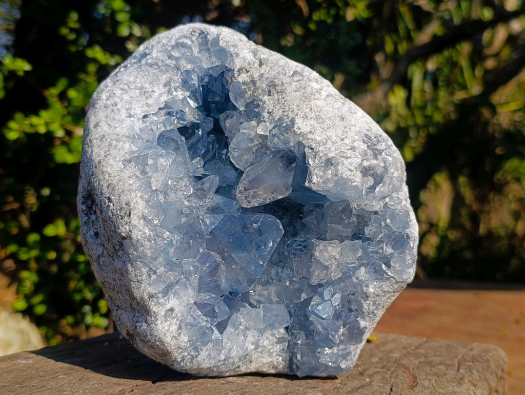 Natural Large Blue Celestite Geode Specimen x 1 From Sakoany Madagascar
