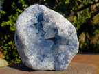 Natural Large Blue Celestite Geode Specimen x 1 From Sakoany Madagascar