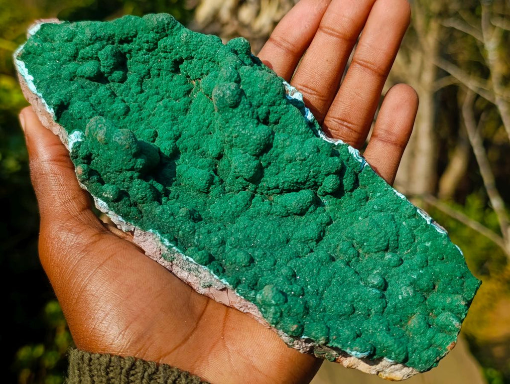 Natural Exquisite Botryoidal Malachite Crystal Plate Specimen x 1 From Kolwezi, Congo
