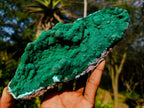 Natural Exquisite Botryoidal Malachite Crystal Plate Specimen x 1 From Kolwezi, Congo