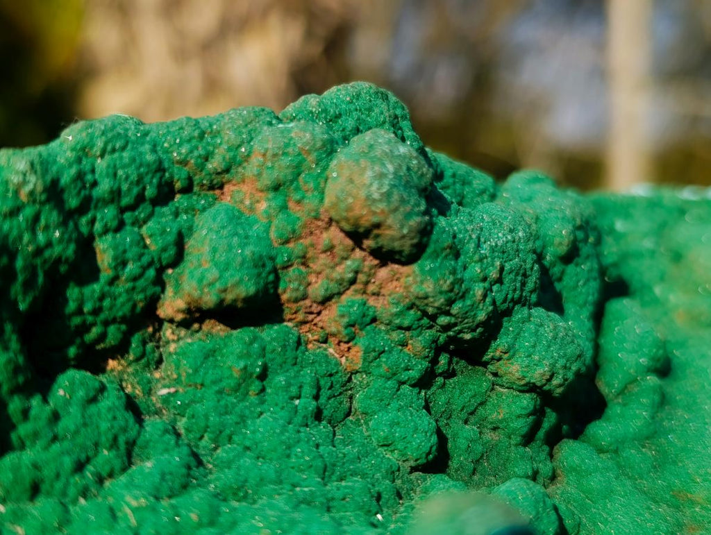 Natural Exquisite Botryoidal Malachite Crystal Plate Specimen x 1 From Kolwezi, Congo