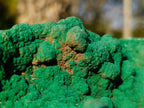 Natural Exquisite Botryoidal Malachite Crystal Plate Specimen x 1 From Kolwezi, Congo