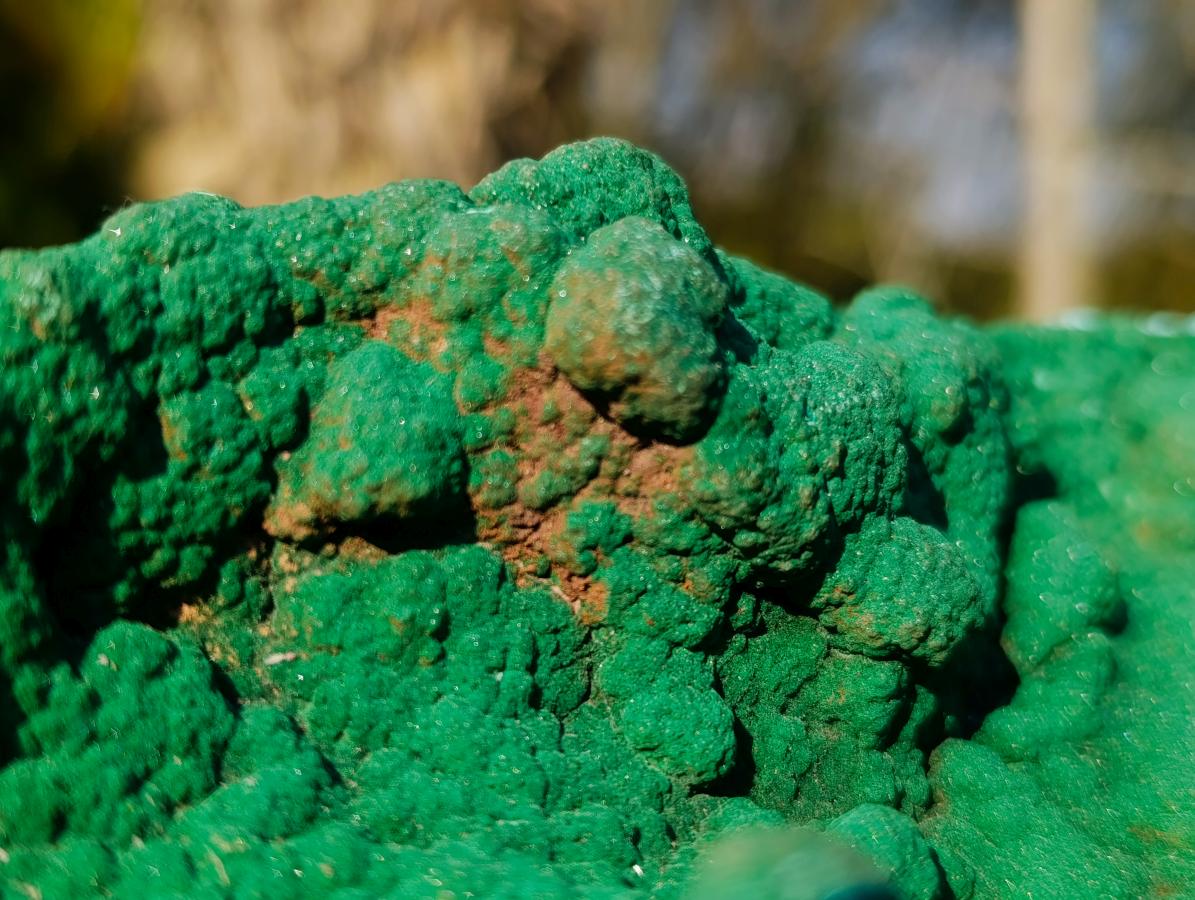 Natural Exquisite Botryoidal Malachite Crystal Plate Specimen x 1 From Kolwezi, Congo