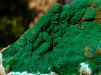 Natural Exquisite Botryoidal Malachite Crystal Plate Specimen x 1 From Kolwezi, Congo