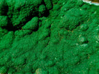 Natural Exquisite Botryoidal Malachite Crystal Plate Specimen x 1 From Kolwezi, Congo