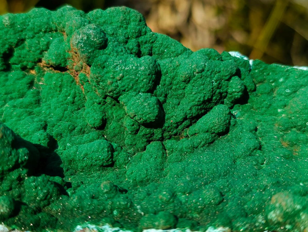 Natural Exquisite Botryoidal Malachite Crystal Plate Specimen x 1 From Kolwezi, Congo