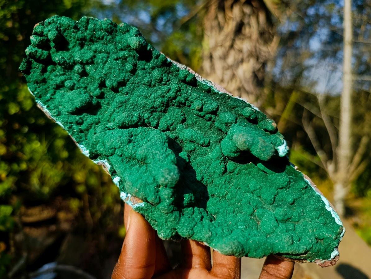 Natural Exquisite Botryoidal Malachite Crystal Plate Specimen x 1 From Kolwezi, Congo
