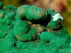 Natural Exquisite Botryoidal Malachite Crystal Plate Specimen x 1 From Kolwezi, Congo