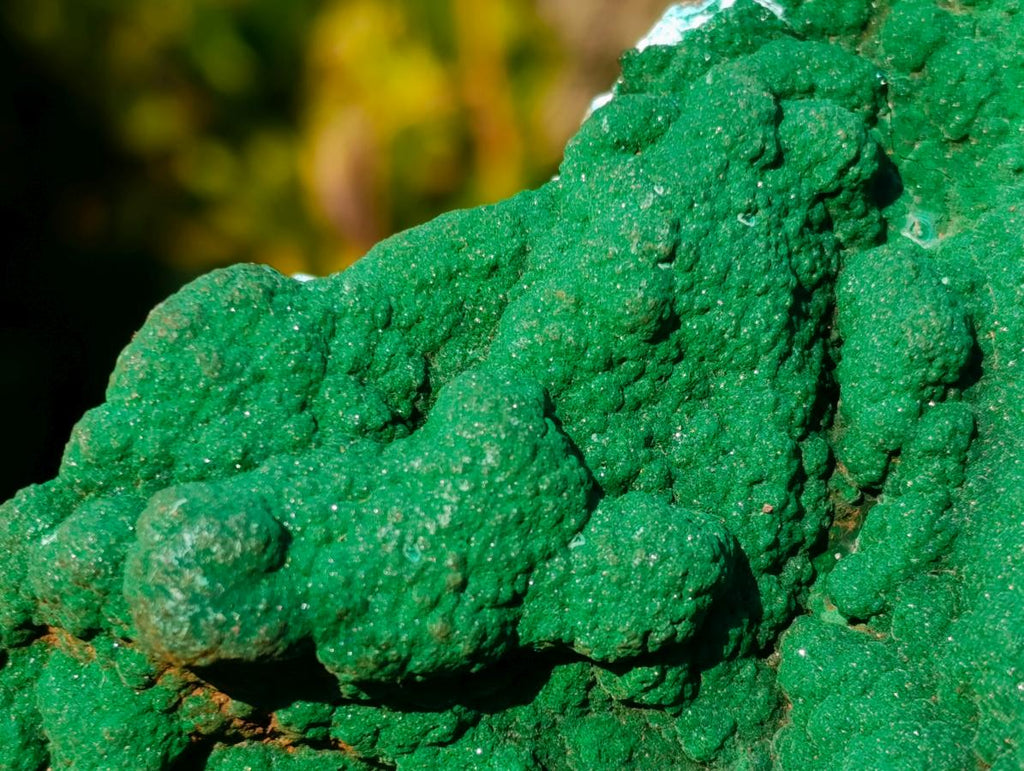 Natural Exquisite Botryoidal Malachite Crystal Plate Specimen x 1 From Kolwezi, Congo