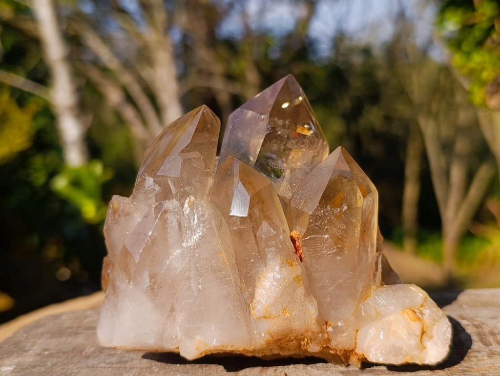 Polished Exquisite Smokey Citrine Crystal Cluster x 1 From Akansobe, Madagascar
