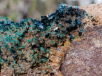 Natural Cabinet Size Crystalline Malachite Specimen x 1 From Tenke Fungurume, Congo