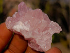 Natural Mix Set of 24 African Minerals and Crystals in a Black Wooden Display Case x 1 From Southern Africa