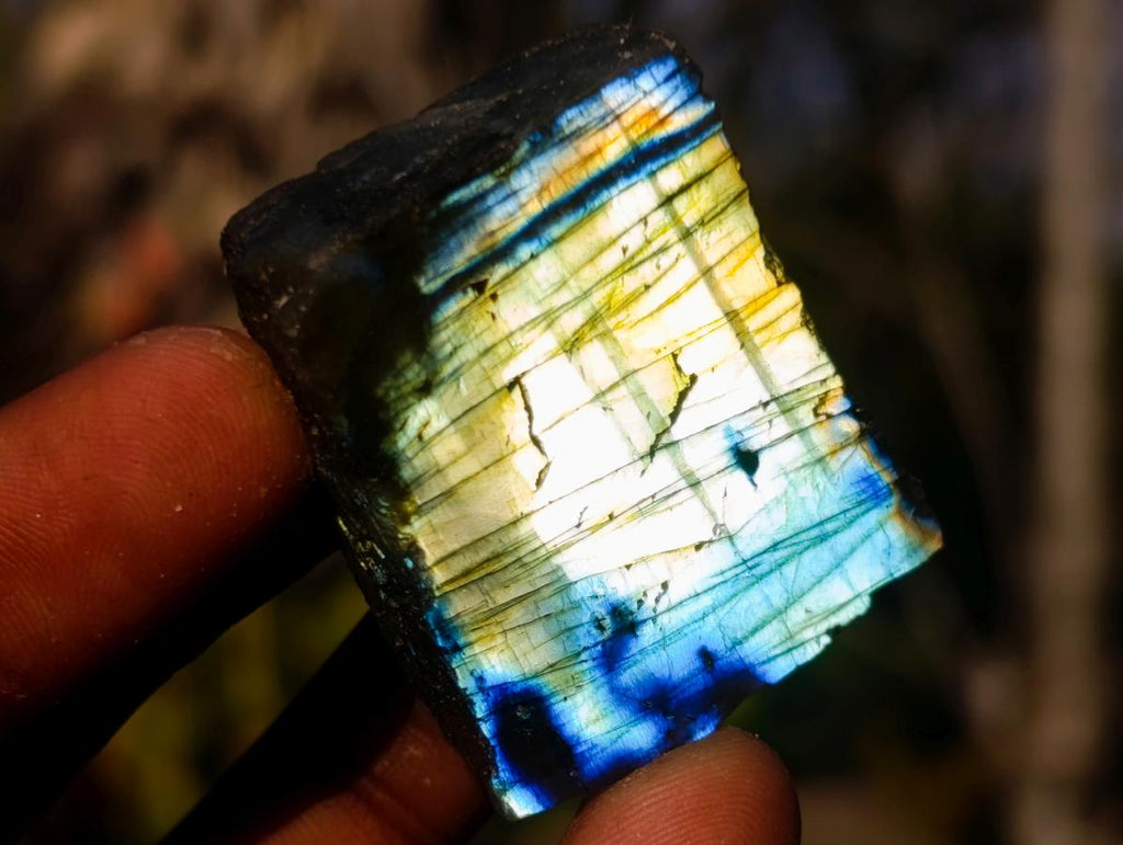 Natural Mix Set of 24 African Minerals and Crystals in a Black Wooden Display Case x 1 From Southern Africa