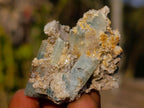 Natural Mix Set of 24 African Minerals and Crystals in a Black Wooden Display Case x 1 From Southern Africa