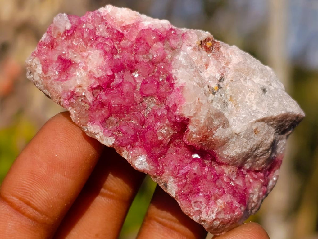 Natural Mix Set of 24 African Minerals and Crystals in a Black Wooden Display Case x 1 From Southern Africa