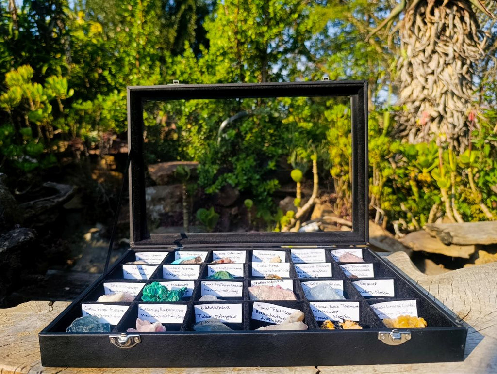 Natural Mix Set of 24 African Minerals and Crystals in a Black Wooden Display Case x 1 From Southern Africa